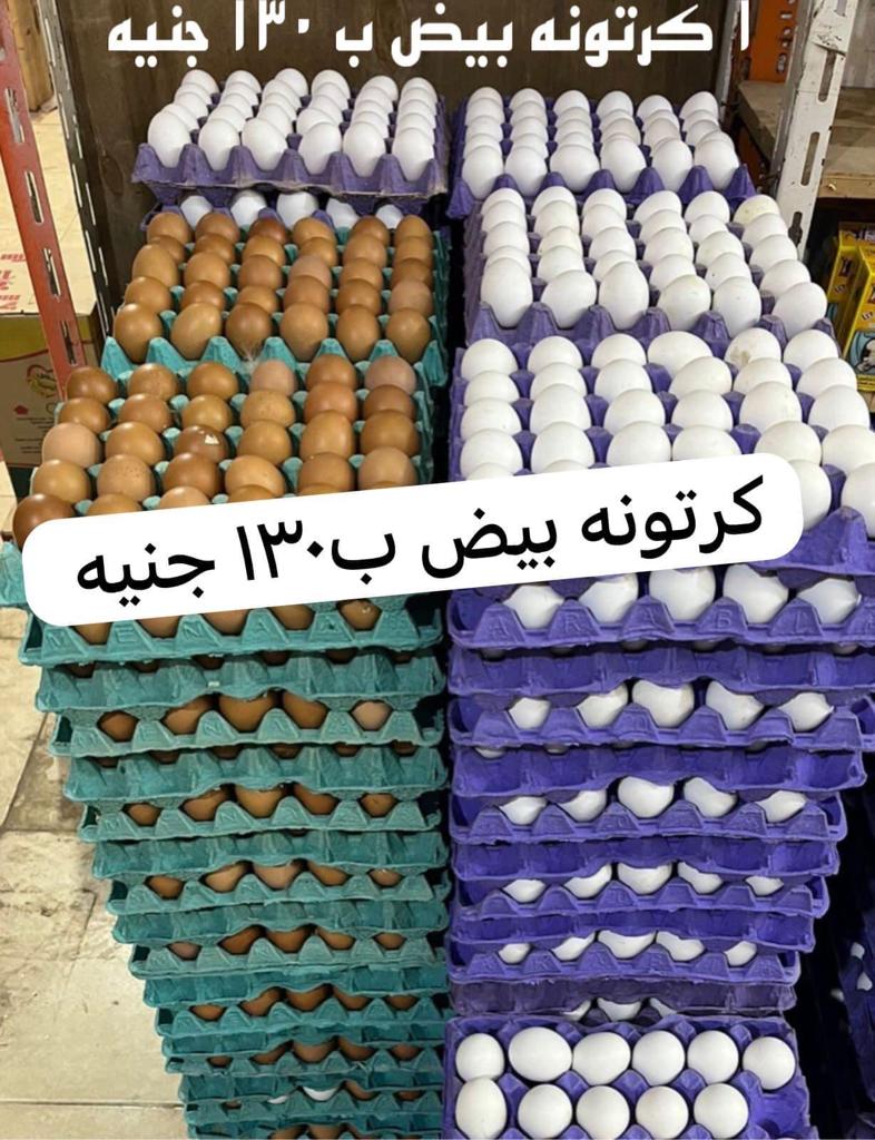 IMG-20231017-WA0117