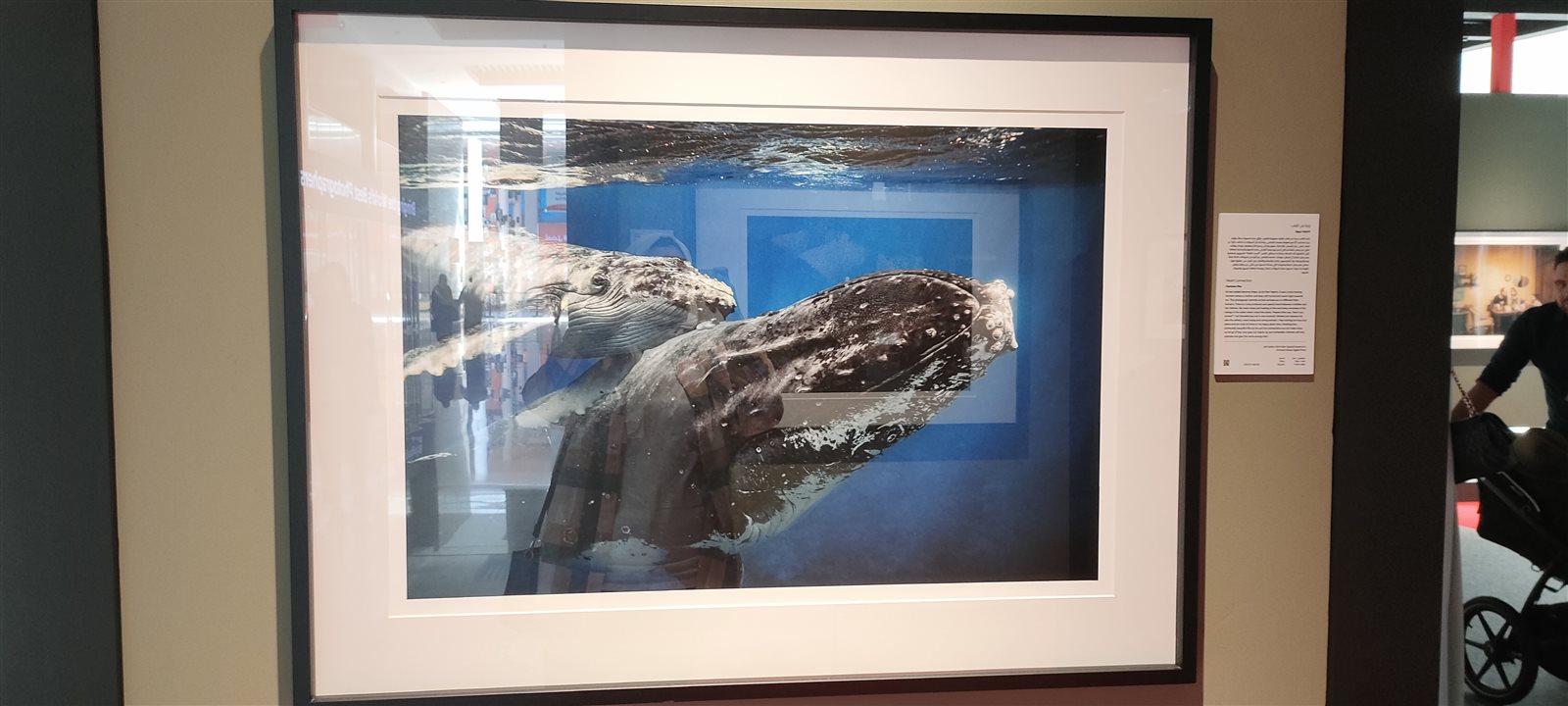 IMG20240302112529