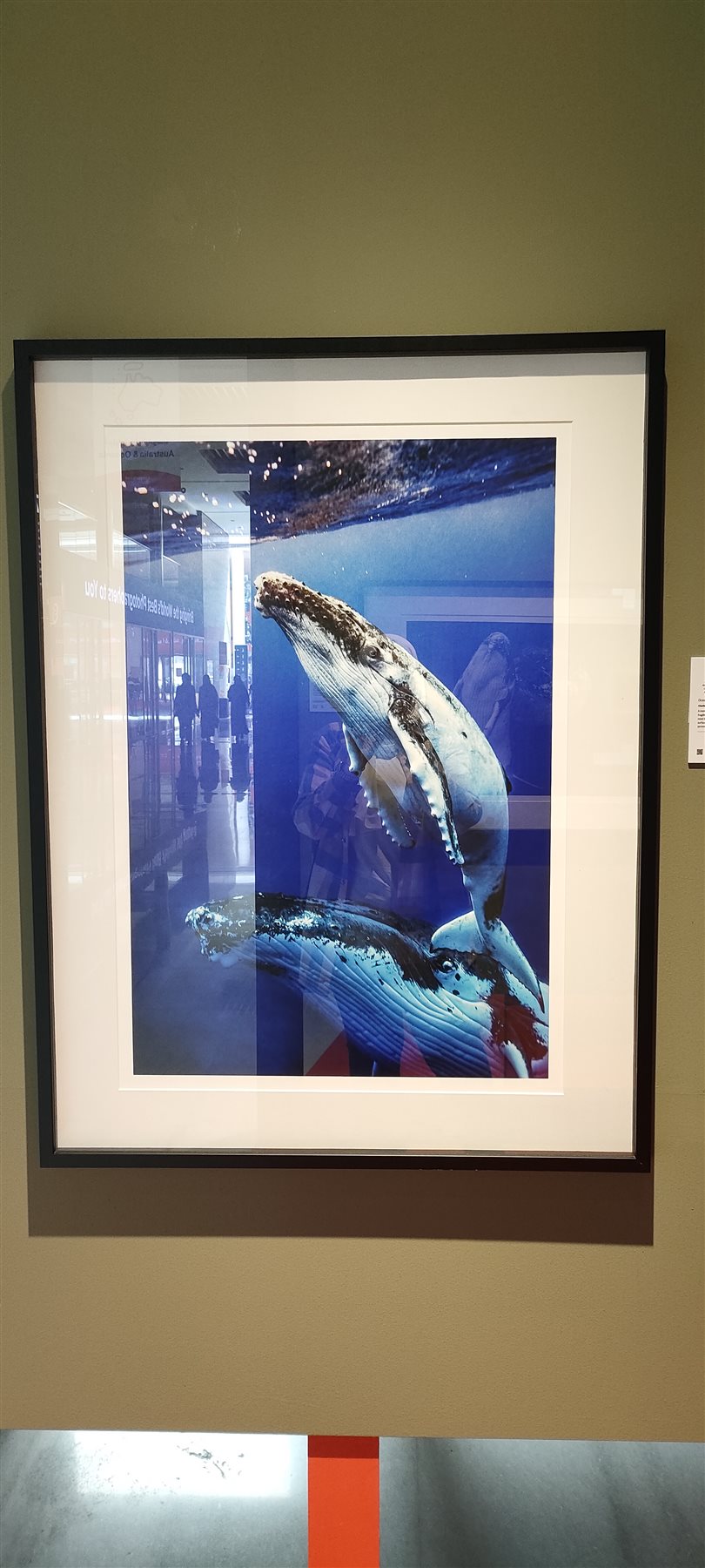IMG20240302112517