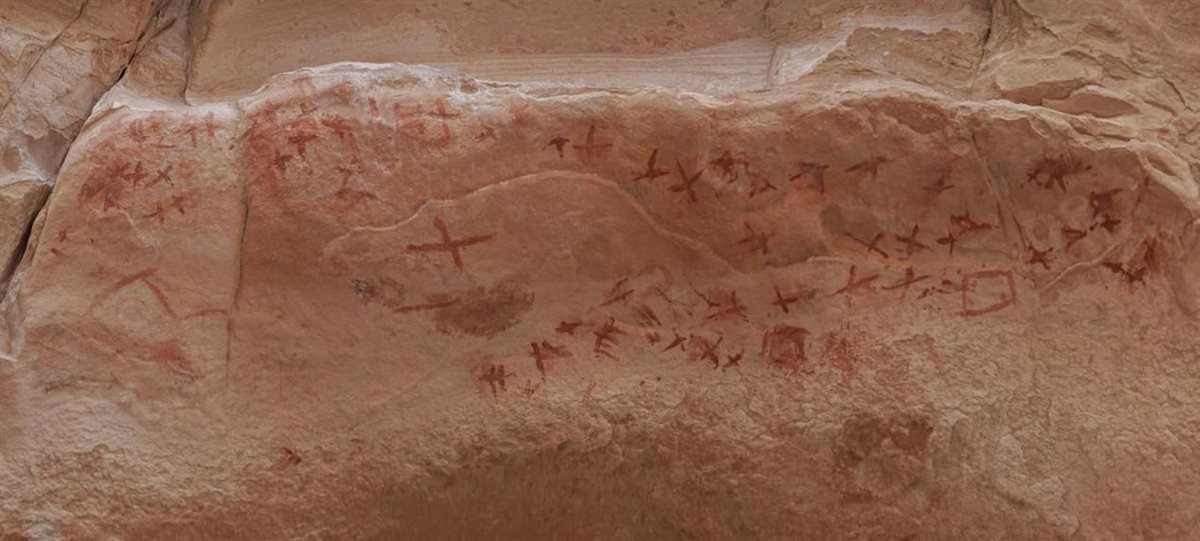 IMG-20260212-WA0035
