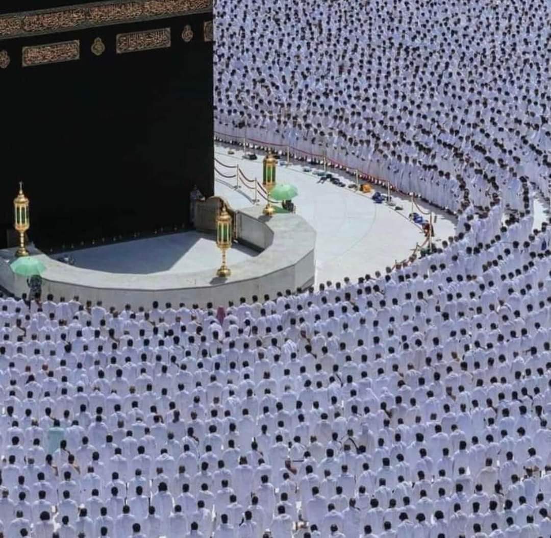 الحجاج