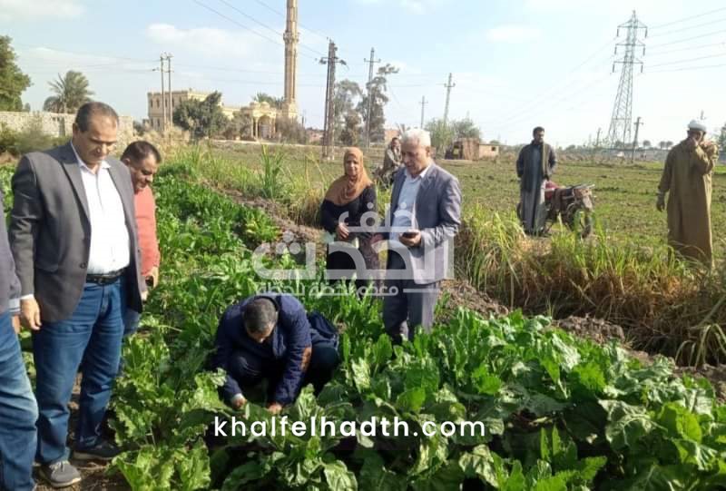 لزيادة إنتاجية المحاصيل الشتوية بمركزي ههيا وأبو كبير