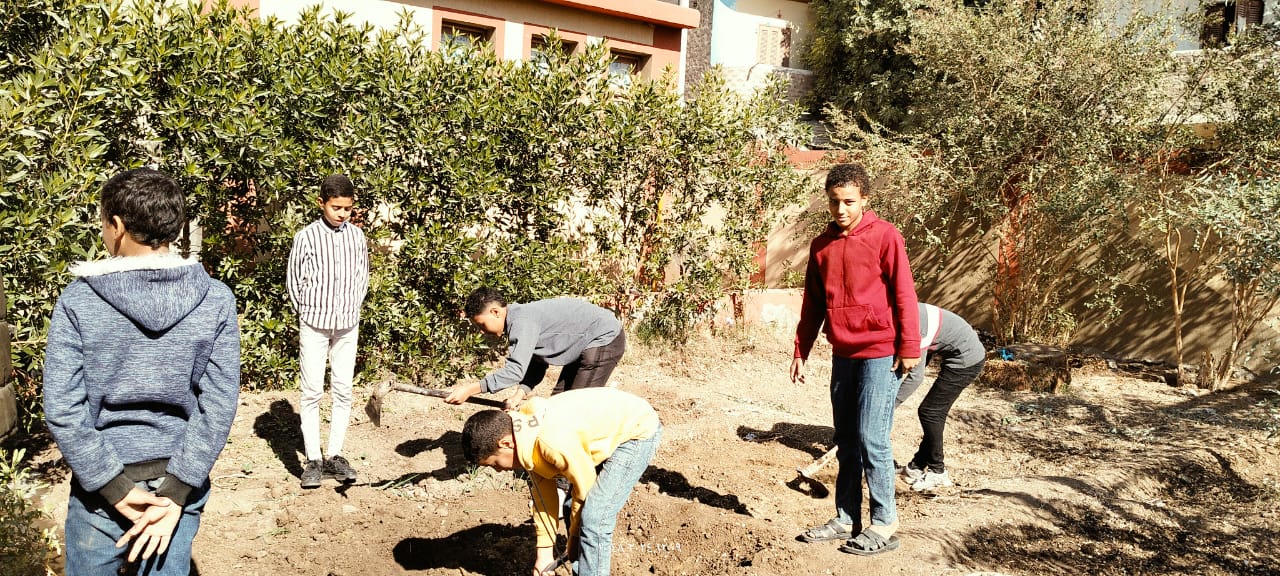 IMG-20241209-WA0019