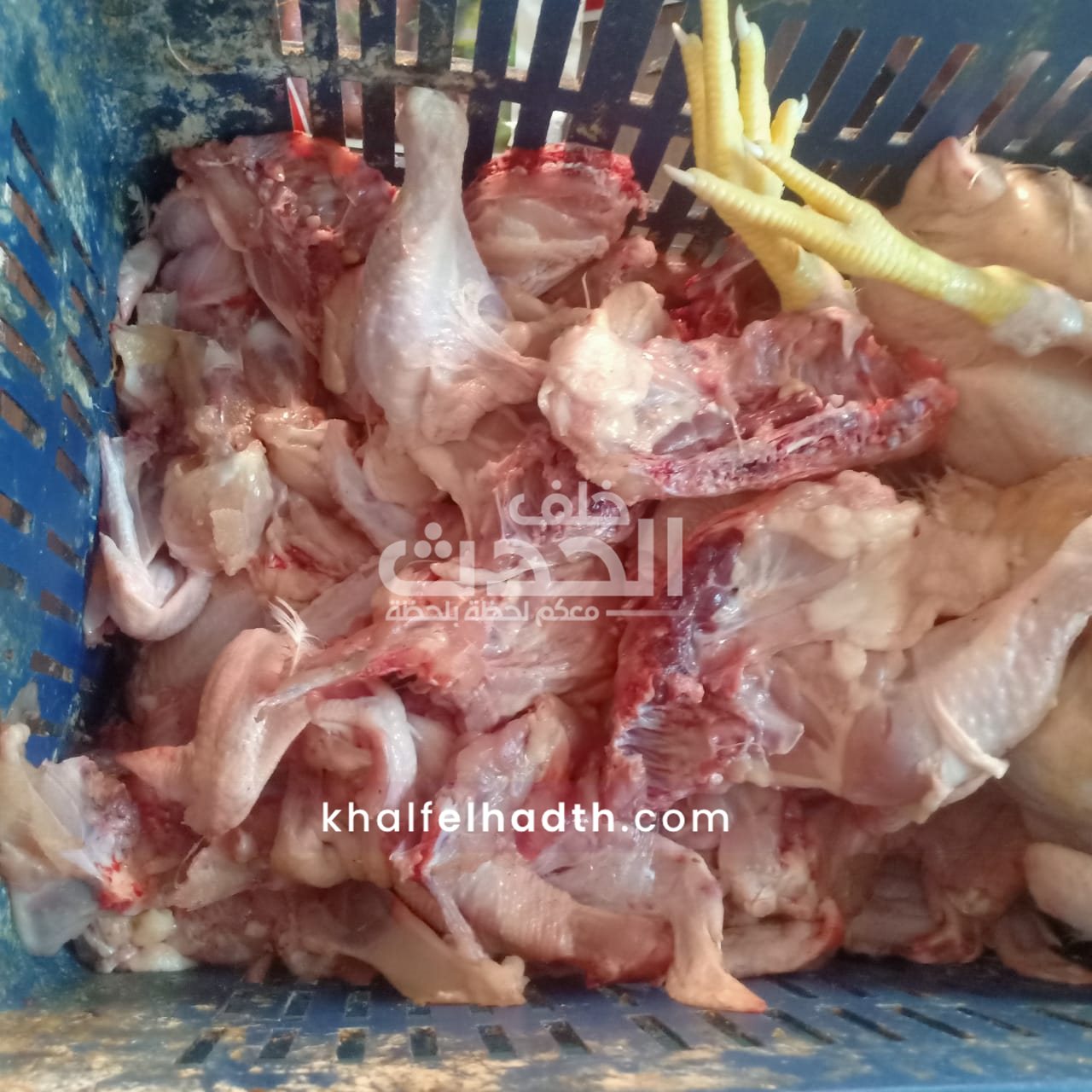 حملة تموينية مكبرة في محافظة أسيوط 