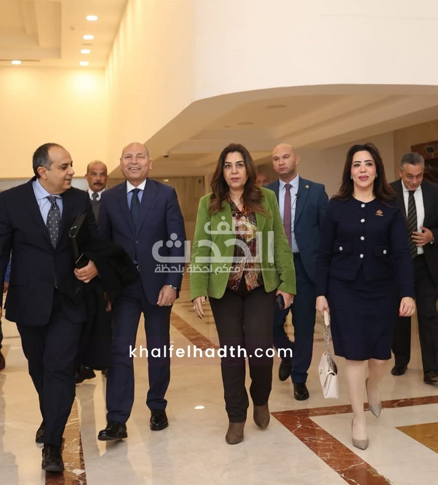 النائبة غاده علي 