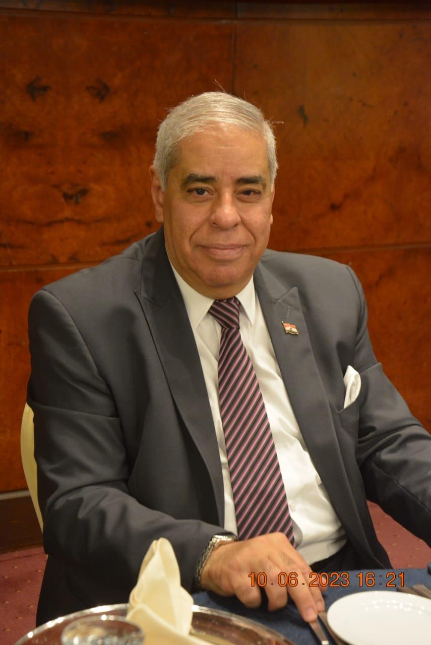 المستشار محمد فؤاد
