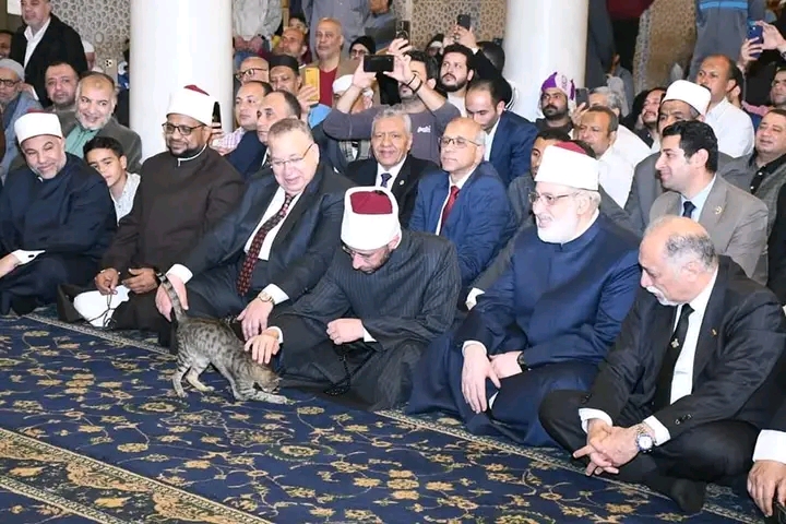 وزير الأوقاف يلاطف قطة خلال احتفالية ذكرى فتح مكة في مسجد السيدة زينب