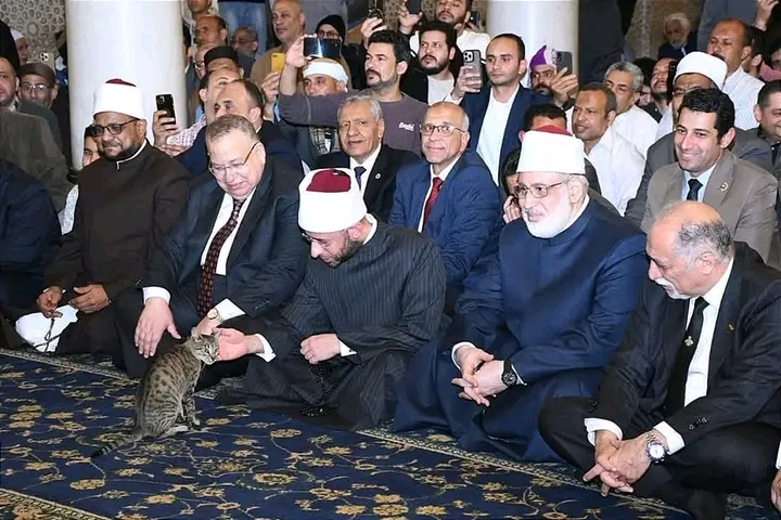 وزير الأوقاف يلاطف قطة خلال احتفالية ذكرى فتح مكة في مسجد السيدة زينب