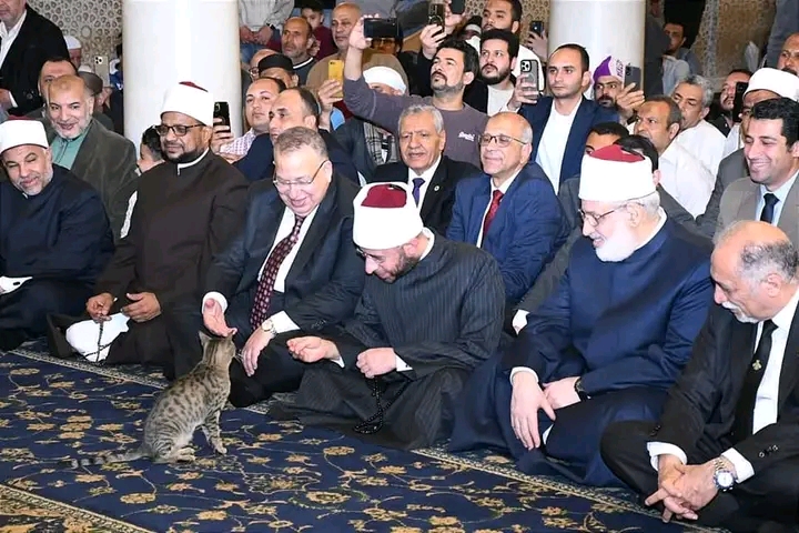 وزير الأوقاف يلاطف قطة خلال احتفالية ذكرى فتح مكة في مسجد السيدة زينب