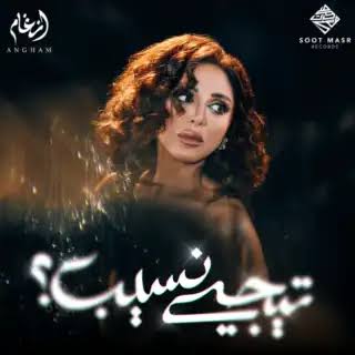 تيجي نسيب&nbsp;