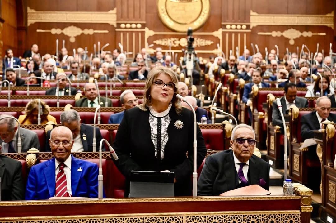 وكيلة مجلس الشيوخ فيبي فوزي