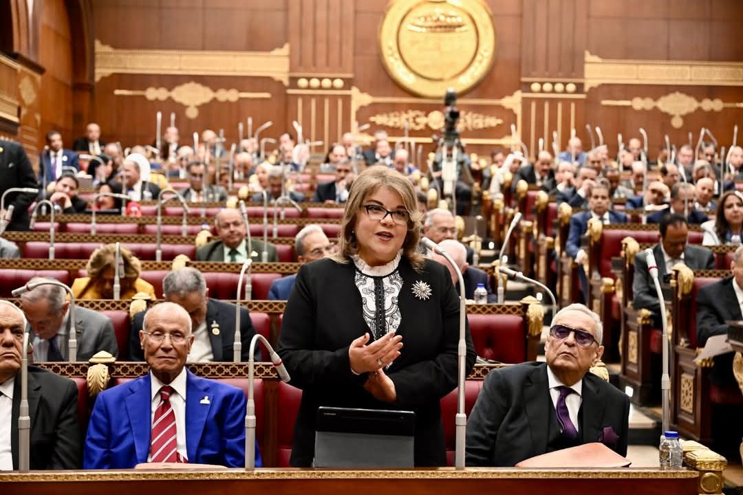 وكيلة مجلس الشيوخ فيبي فوزي