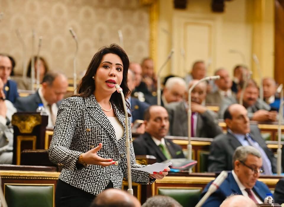 نواب تنسيقية شباب الأحزاب والسياسيين 