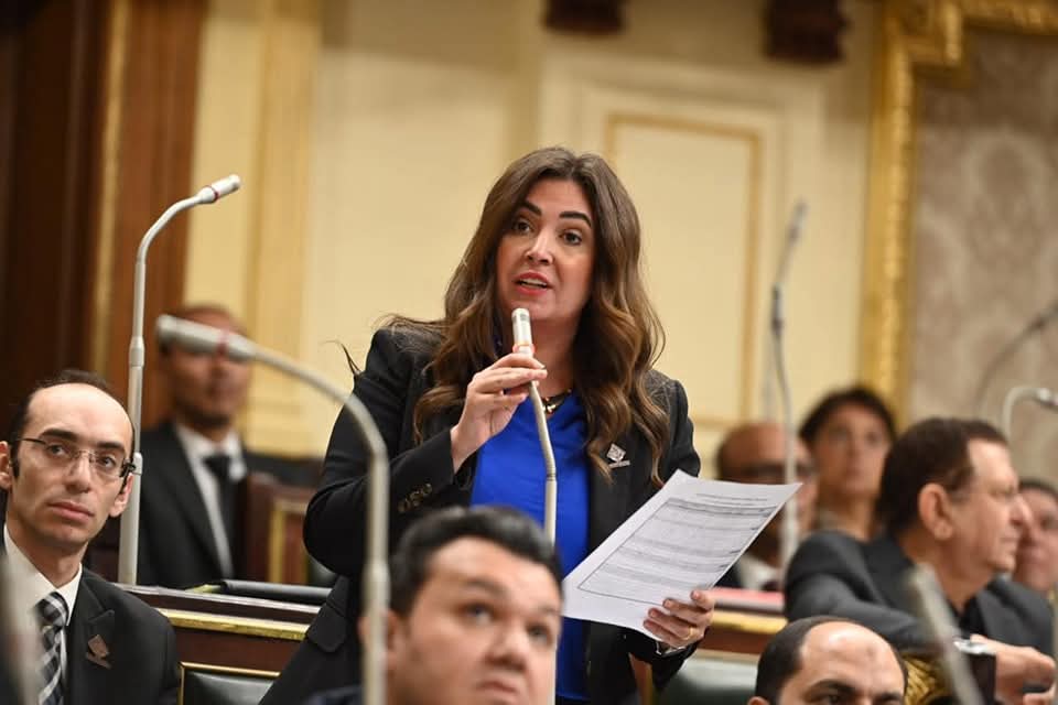 نواب تنسيقية شباب الأحزاب والسياسيين 