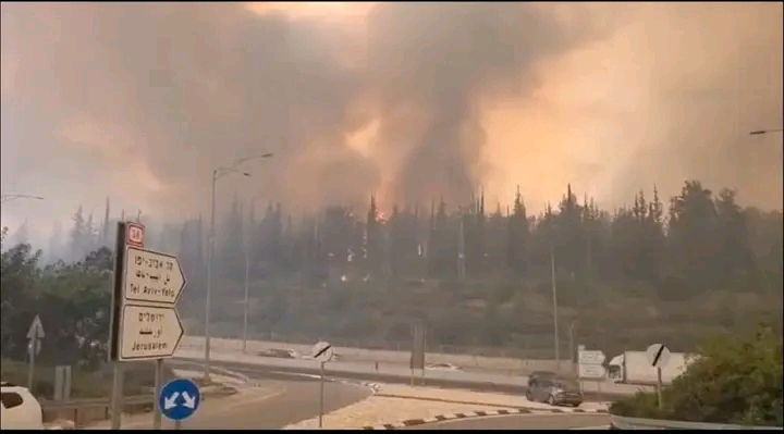 نار الصيف تشتعل في إسرائيل.. حرائق تلتهم الغابات وإخلاء مستوطنات بالكامل