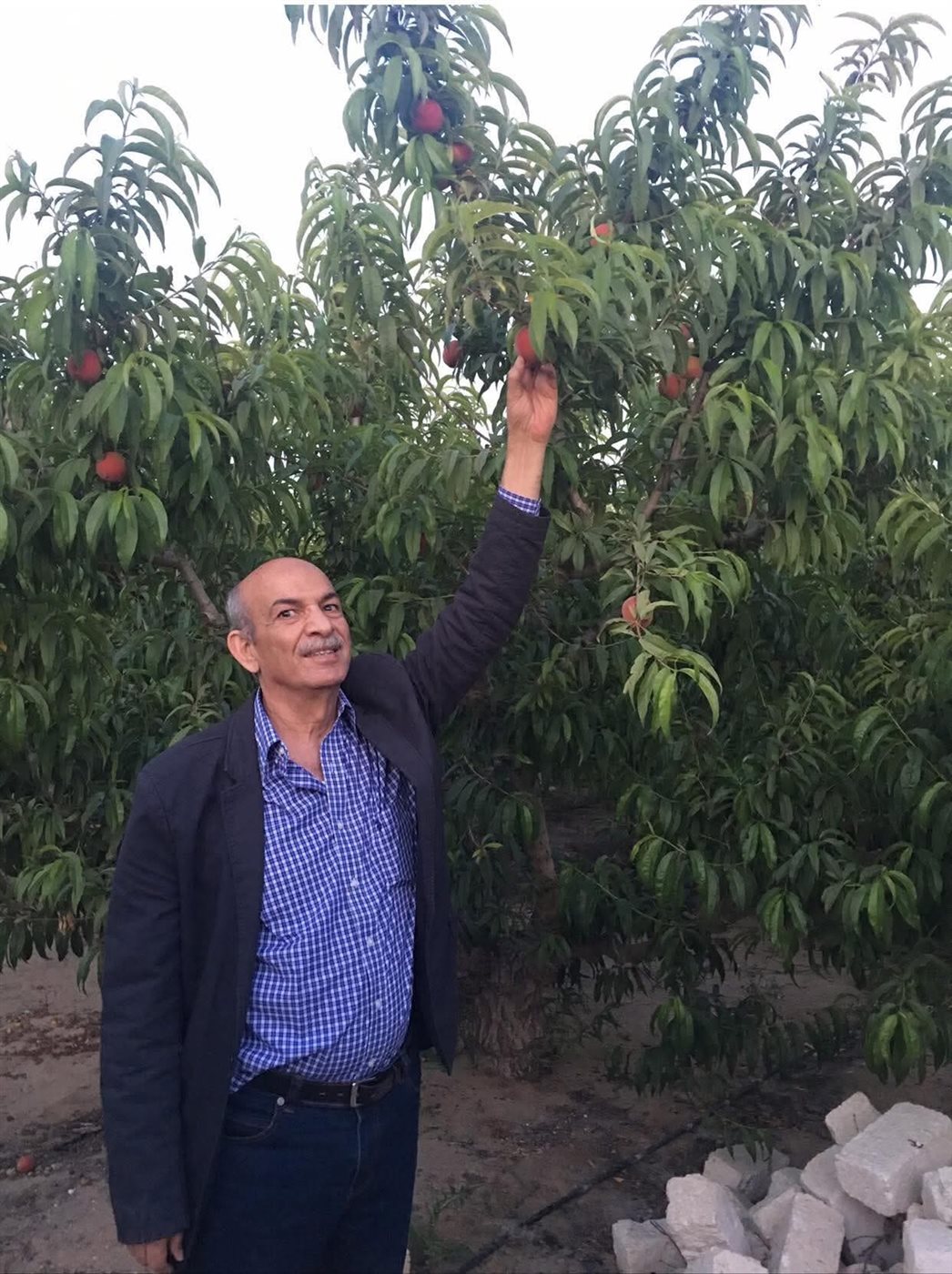 محمد الفوال