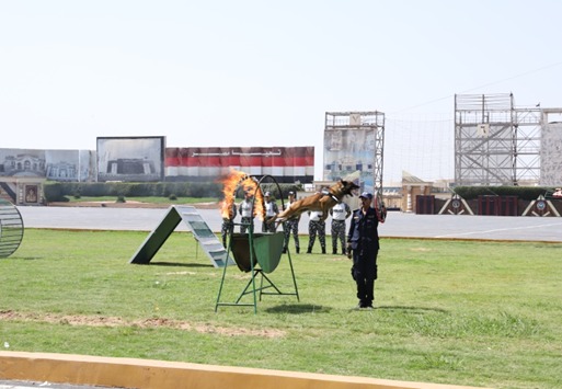 أكاديمية الشرطة 
