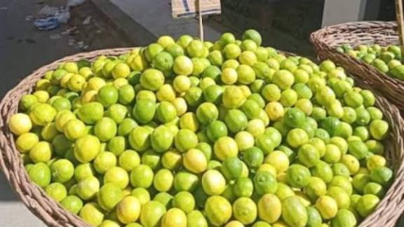 أسعار الليمون -خلف الحدث&nbsp;