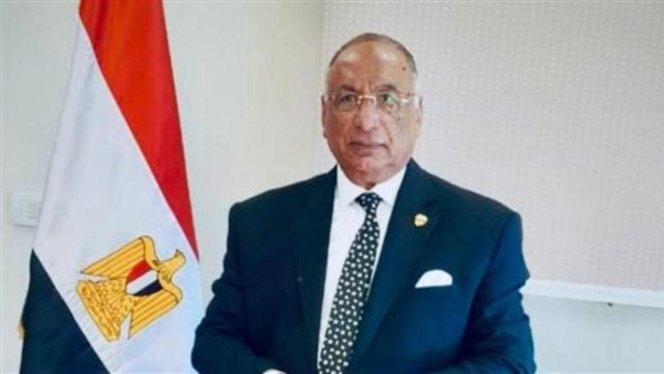 رئيس قضايا الدولة