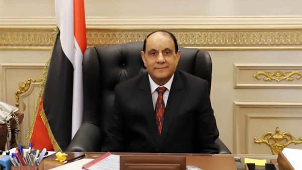 المستشار حسني عبد