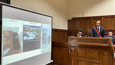 النيابة: طبيب الساحل خطط لجريمته بهدوء.. والمحامية استدرجته وظلت تراقب التنفيذ
