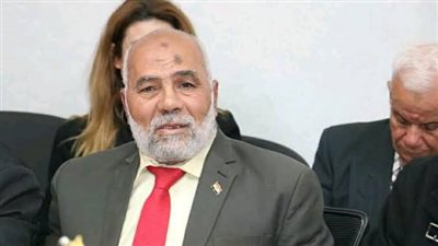 فرغل: الرئيس لخص موقف مصر فى الاحداث الجارية بكلمات دقيقة حاسمة واضحة