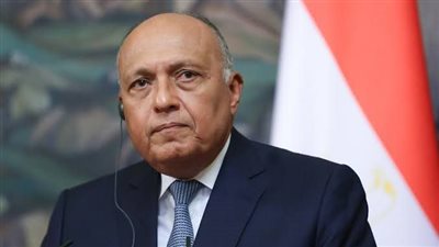 وزير الخارجية يلقي بيان مصر أمام مجلس الأمن بشأن الشرق الأوسط