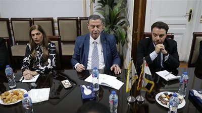 «التنسيقية» تستقبل سفير فلسطين بالقاهرة لبحث الجهود المشتركة لوقف مجازر الاحتلال 