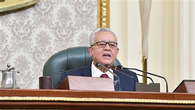 رئيس مجلس النواب يدعو لصياغة موقف عربي داعم للحق الفلسطيني