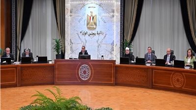 لجذب الاستثمار.. الحكومة توافق على تعديل قانون بشأن الأراضي الصحراوية