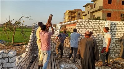 إزالة 3 حالات تعدي علي الأرض الزراعية بمساحة 475 م بالحامول كفرالشيخ 