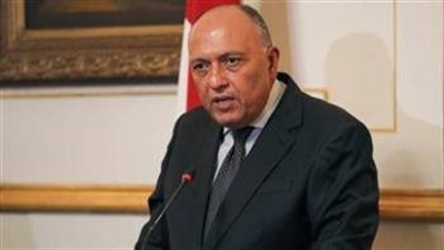 وزير الخارجية يؤكد ضرورة التوصل لهدنة إنسانية فورية في غزة 