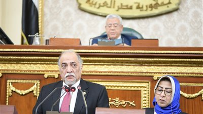 مجلس النواب يوافق نهائيا على مشروع قانون المجلس القومى للطفولة والأمومة
