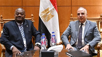 وزير الري: مصر حريصة على تعزيز التعاون مع مختلف الدول الأفريقية