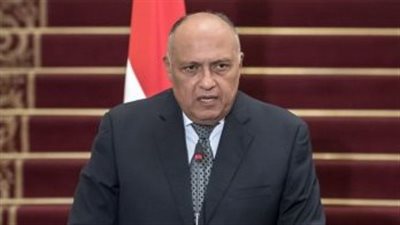 شكري يبحث هاتفيا مع وزير خارجية كوريا الجنوبية التصعيد العسكري في غزة
