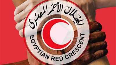 الهلال الأحمر المصري يُسلم الدفعة الثامنة من المساعدات الإنسانية لنظيره الفلسطيني