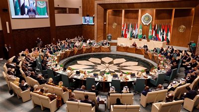 وزراء الخارجية العرب يؤكدون ضرورة الوقف الفوري للعدوان الإسرائيلى على غزة