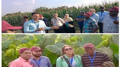 لمواجهة التغيرات المناخية.. توصيات اجتماع الطاقة الذرية لمشروع «الافرا» لإنشاء نظم زراعية ذكية