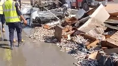 إنقلاب سيارة نقل محملة بالأسماك بطريق السويس ومصرع السائق 