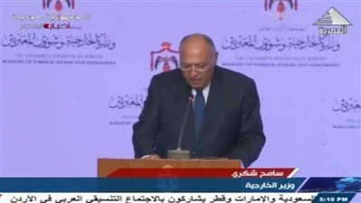 وزير الخارجية: ماضون للعمل مع الولايات المتحدة من أجل وقف الحرب على غزة