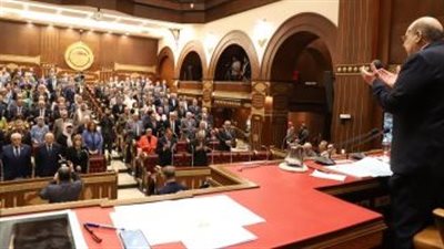 موضوعات مهمة تتصدر أجندة اللجان النوعية بمجلس الشيوخ
