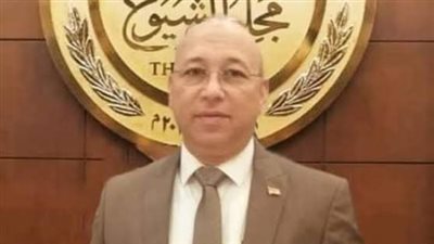 برلماني سيناوي: تصريحات رئيس الوزراء بمؤتمر سيناء رسائل واضحة بأنه لا مساس بأمن  مصر القومي