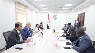 وزير التعليم العالي يلتقي نظيره بجنوب السودان لبحث تعزيز التعاون التعليمي والعلمي
