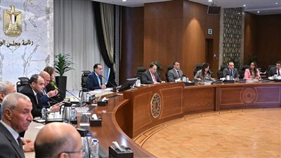 مدبولي يُوجه بسرعة الانتهاء من مُحفِّزات صناعة السيارات الكهربائية في مصر