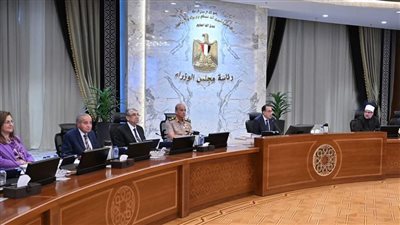 مدبولي: مواصلة التنسيق مع الشركاء المعنيين لنفاذ المساعدات الإنسانية إلى غزة 