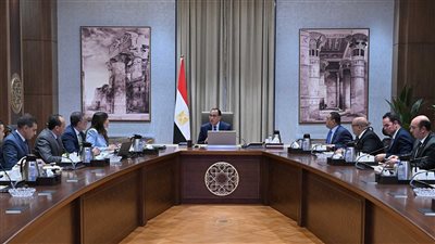 رئيس الوزراء يستعرض مع الرئيس التنفيذي لهيئة الاستثمار نتائج الجهود الترويجية لجذب الاستثمارات الأجنبية لمصر