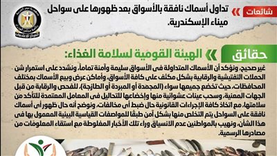 الحكومة تنفي تداول أسماك نافقة بالأسواق بعد ظهورها على سواحل ميناء الإسكندرية