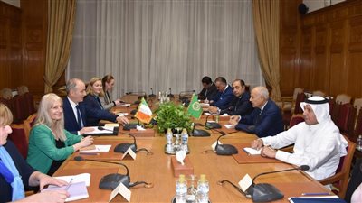 أبو الغيط يستقبل وزير خارجية أيرلندا ويحذر مجددا من التهجير القسري للفلسطينيين