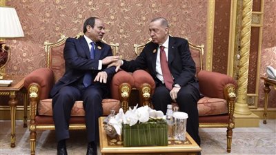 الرئيس السيسي وأردوغان يؤكدان ضرورة إيقاف القصف المستمر لقطاع غزة