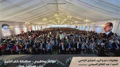 فعاليات ومؤتمرات حاشدة لدعم السيسي في انتخابات الرئاسة 
